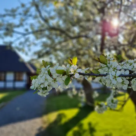 Feriegård Bauernhofferien Auf Mon, Schaeferwagen 