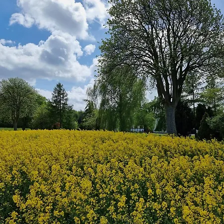Bauernhofferien Auf Mon, Schaeferwagen 