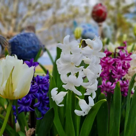 Bauernhofferien Auf Mon, Schaeferwagen 