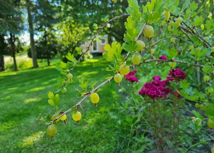 Bauernhofferien Auf Mon, Schaeferwagen 
