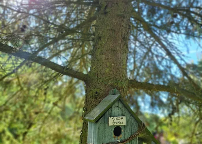Bauernhofferien Auf Mon, Schaeferwagen 