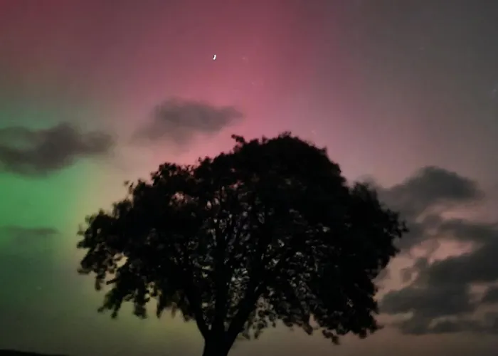 Bauernhofferien Auf Mon, Schaeferwagen 