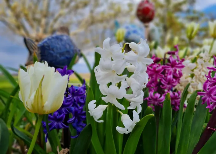 Bauernhofferien Auf Mon, Schaeferwagen 