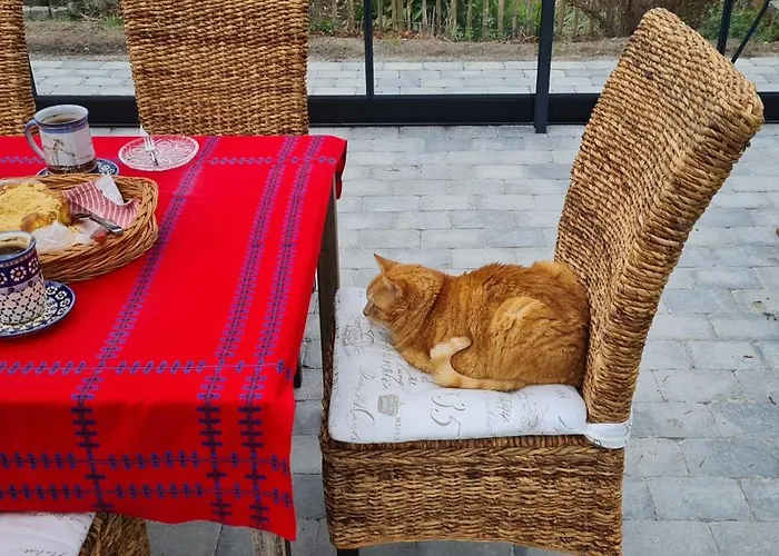 Bauernhofferien Auf Mon, Schaeferwagen 
