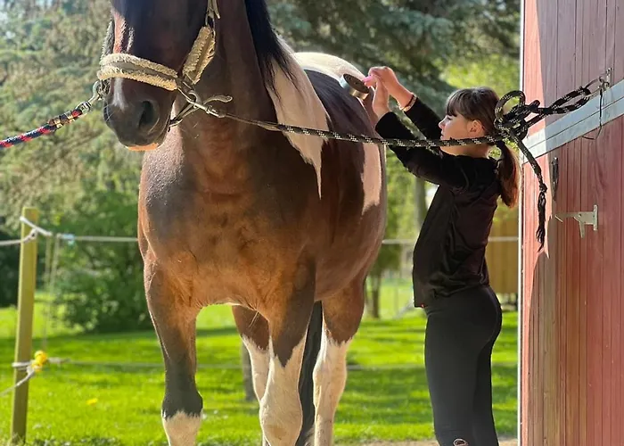 Bauernhofferien Auf Mon, Schaeferwagen 